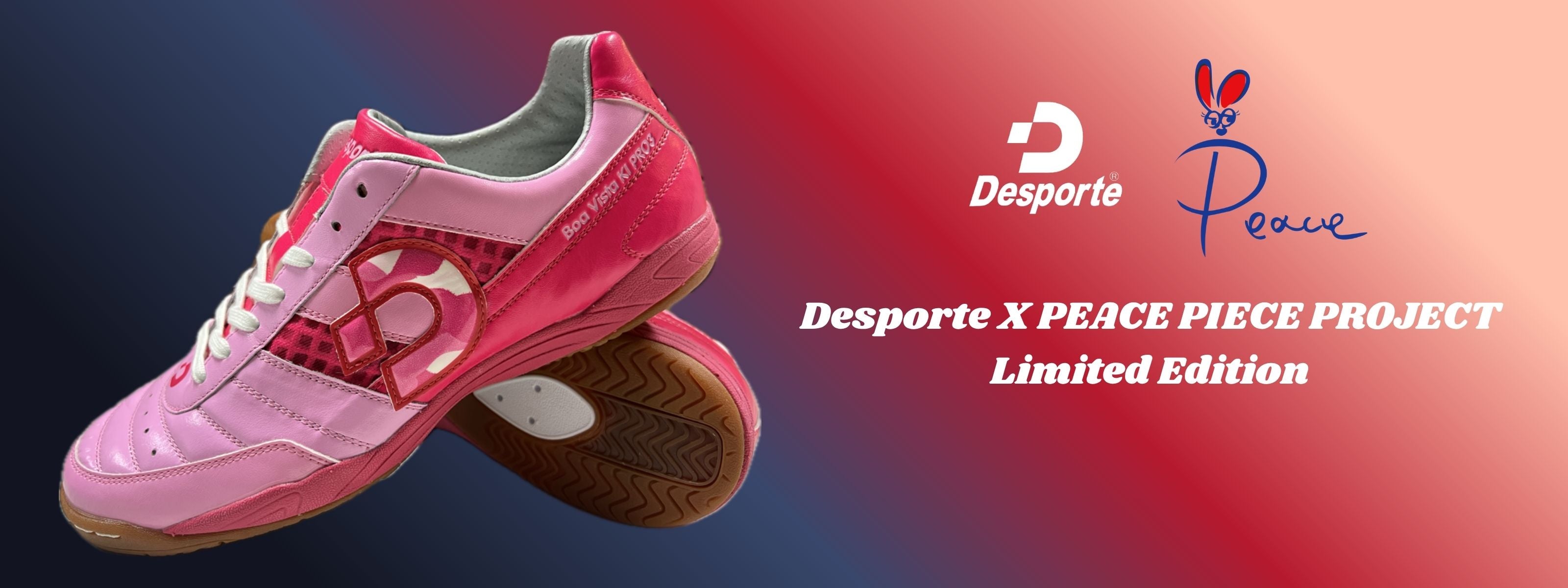 Desporte futsal shoes, turf soccer shoes and sportswear