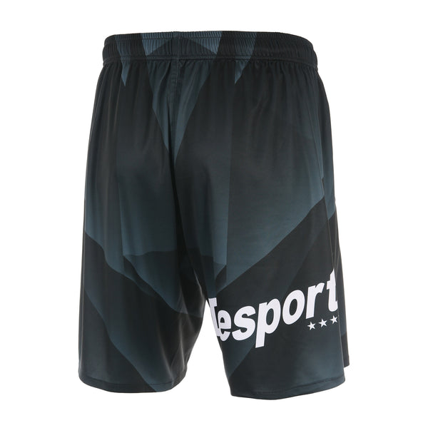 Desporte practice shorts DSP-BPSP-28 black back view