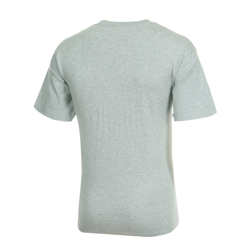 Desporte cotton heavyweight T-shirt, DSP-T42, gray, back view